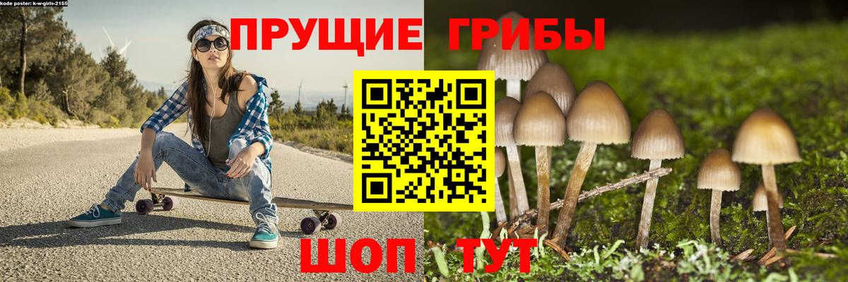 Псилоцибиновые грибы Cubensis  Вход с VPN  Сухой Лог 