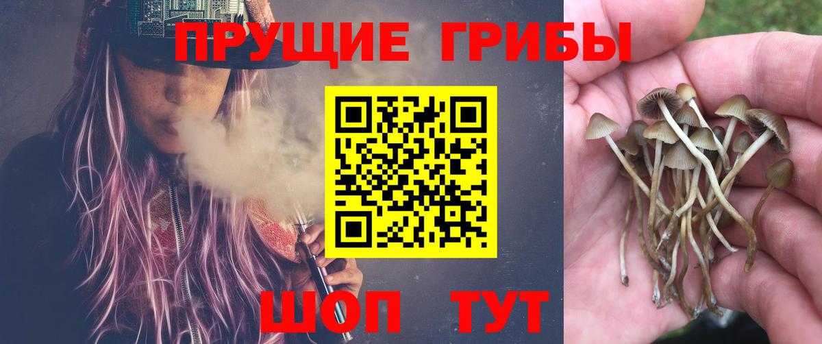 Псилоцибиновые грибы Magic Shrooms Сухой Лог